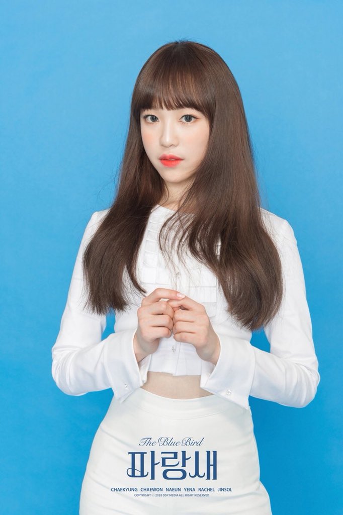 April_TH's tweet photo. TEASER | รูปภาพ set ที่ 2 ของทีมน้องเล็ก ถูกปล่อยออกมาหมดแล้ว ทำแอดมือไม้สั่นไปหมดเลยจริงๆ ☺️ #APRIL #에이프릴 #YENA #RACHEL #JINSOL #April_TH https://t.co/FHEBFuYkY5
