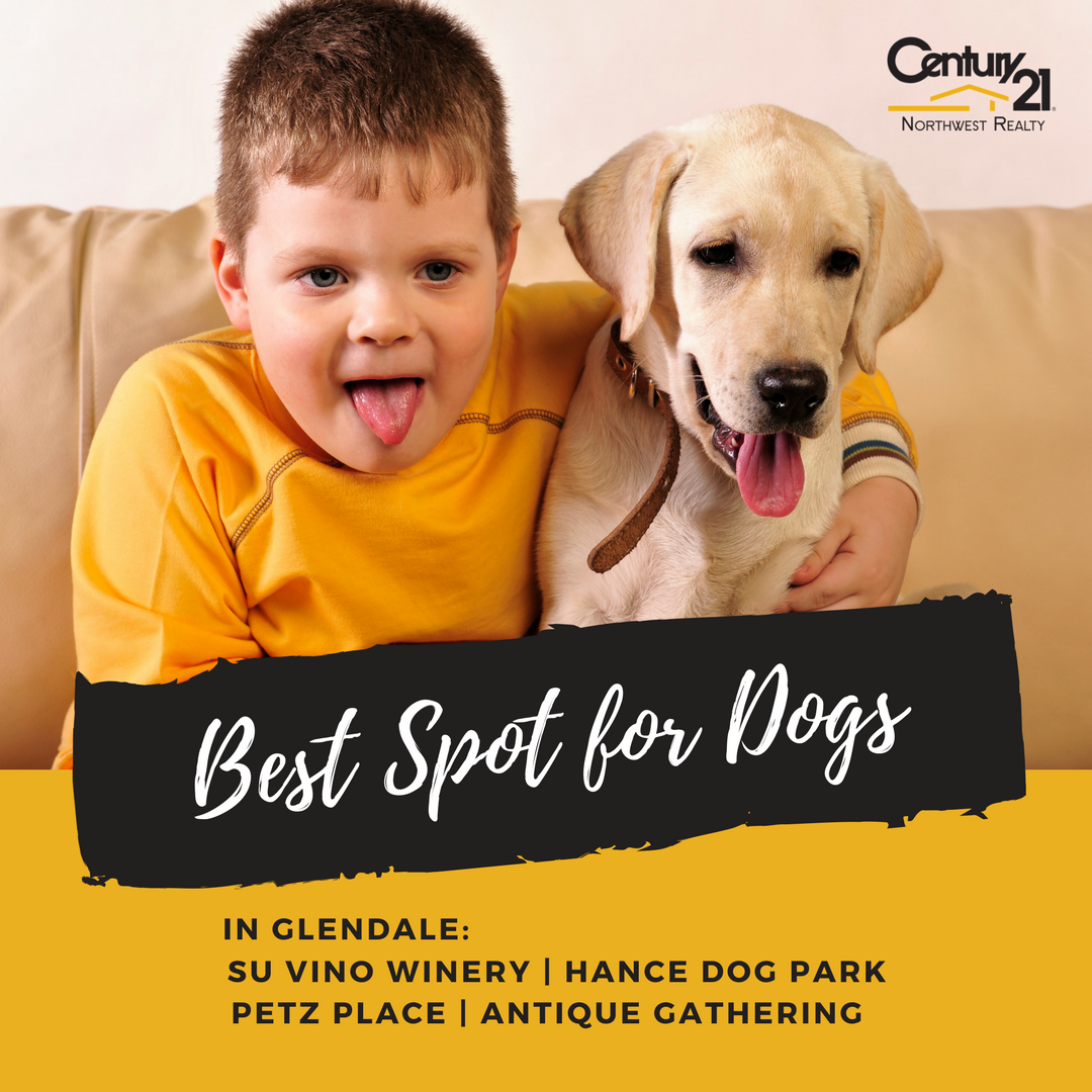 c21tempeaz's tweet photo. What other spots in #Glendale would you recommend to #dog owners? #az #arizona #dogowners https://t.co/dcLYN7A3vA