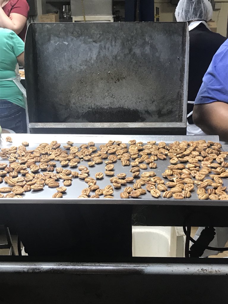 Touring Ellis Brothers Pecans and Peanuts, roughly 85% of the pecans in the world are grown in Georgia. #WeAreNuts #CFBTravelsSouth