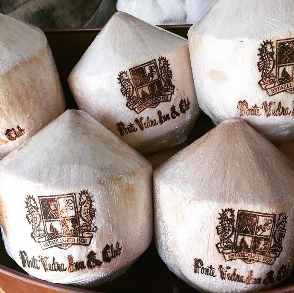 FlHistoricCoast's tweet image. RT @pontevedra: Warm sun, cool water, and the perfect beachside beverage ☀️ 🥥🍹 #LovePVIC #PonteVedra #CoconutDrink (pic via @johndrugan)