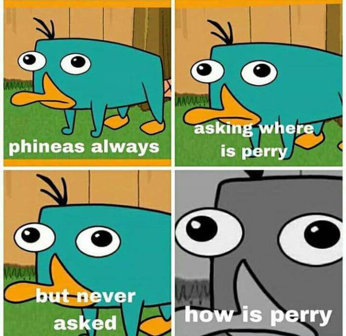 DXNkDvDVMAArCPL.jpg