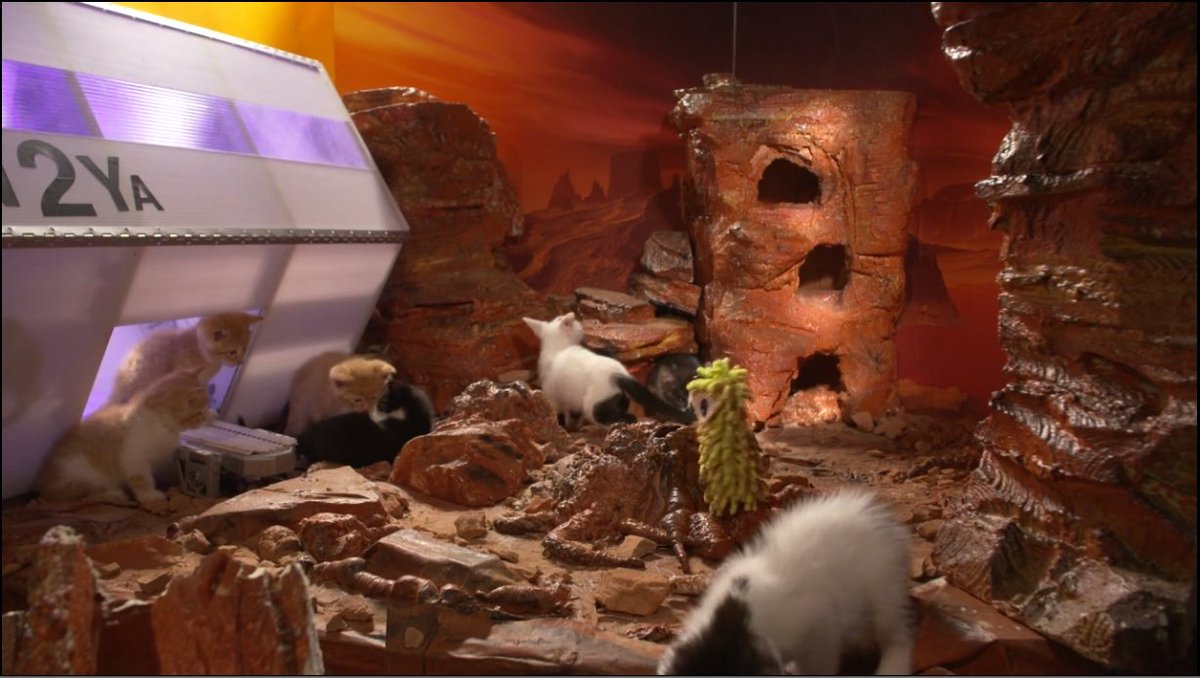 バッドトリップしてる感 完全に電子ドラッグ 壮大なbgmにのせてひたすら子猫が宇宙をウロウロするamazonプライム 宇宙の子猫たち がヤバい Togetter