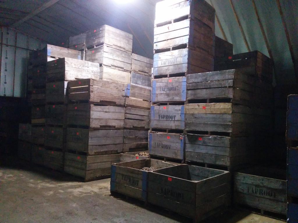 TaprootFarms's tweet photo. Bins and bins of veggies in winter storage! #localNS #organic https://t.co/AKGcNxzSsK