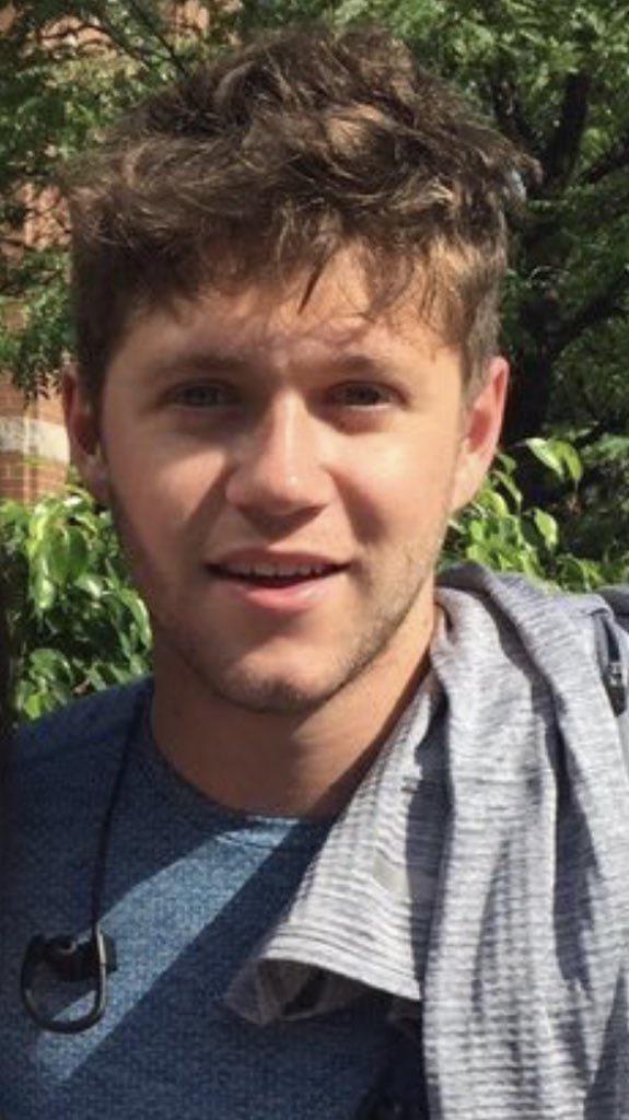 ubiquitousnjh's tweet photo. Niall’s messy hair rt your kink https://t.co/wYfDttsfCL