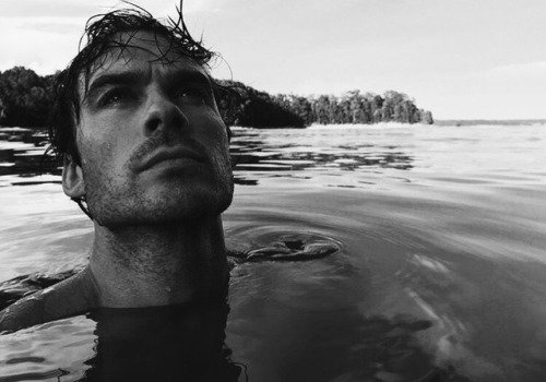 somerhalderpicx's tweet photo. https://t.co/esTxQIIvr3
