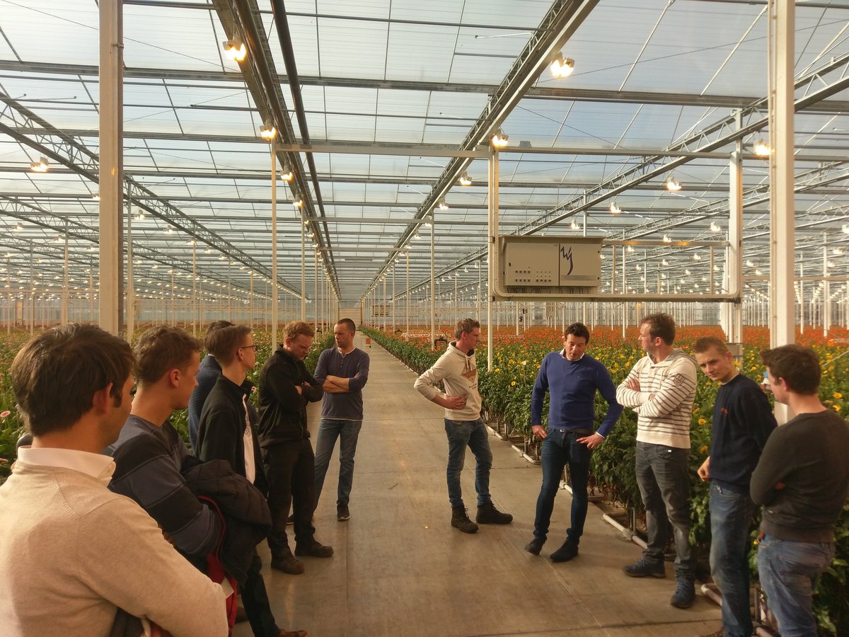 Tuinbouw jongeren Bommelerwaard e/o op bezoek bij <a href="/mansflower/">Mans Flowers</a> 
Maximaal biologische gerberateelt.