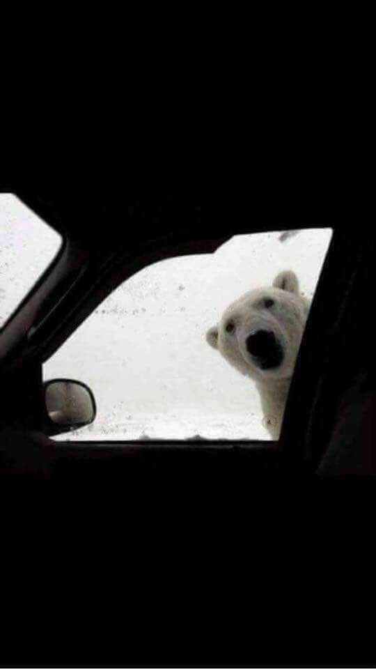The snow is getting really bad in uppermill #oldhamhour #TheBeastFromTheEast