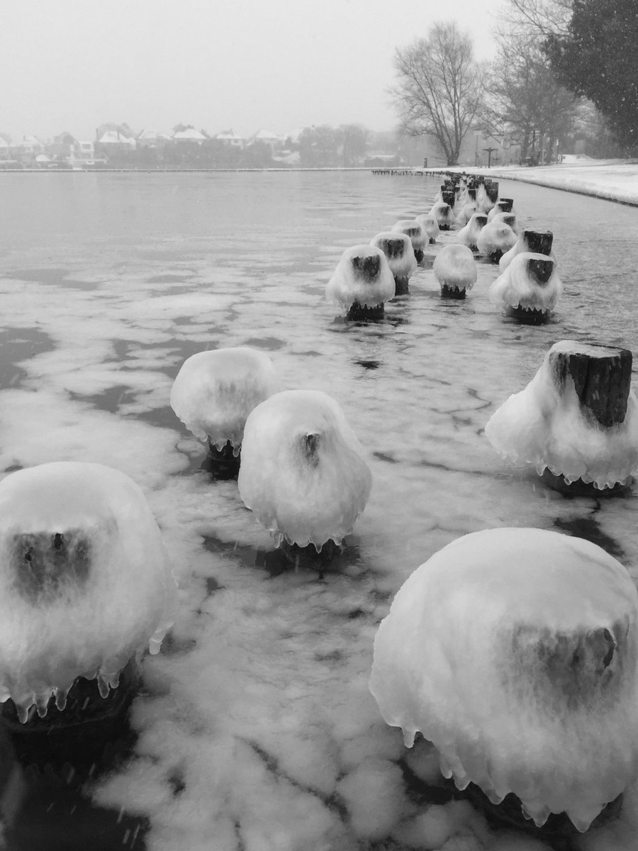 Morphing ice mushrooms in Poole Park #snowday <a href="/Bournemouthecho/">Bournemouth Echo</a>