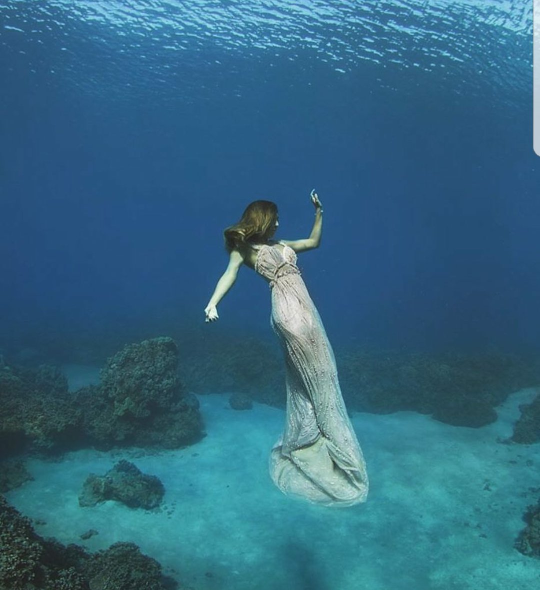 selenad0614's tweet photo. @loveandwater

You inspire me because what the challenges of taking photos underwater to capture a moment and in still &amp; perfect timing https://t.co/HCUiVjvFpY