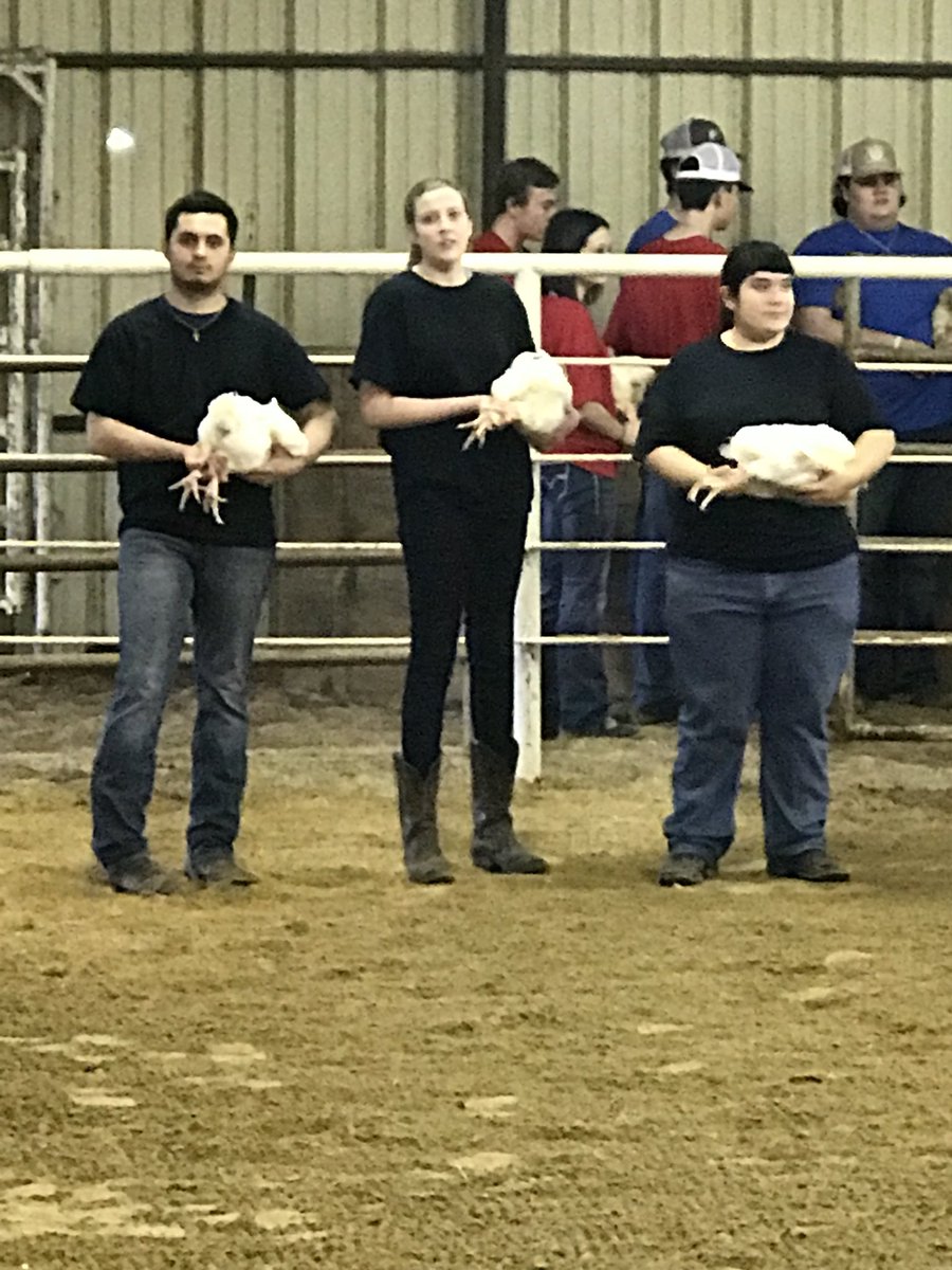 hempelscience's tweet photo. Look at all of those chickens! Congrats Olivia on 4th place market broilers!! #KCJLS18 #NorthForneyFFA https://t.co/R2omyB01VI