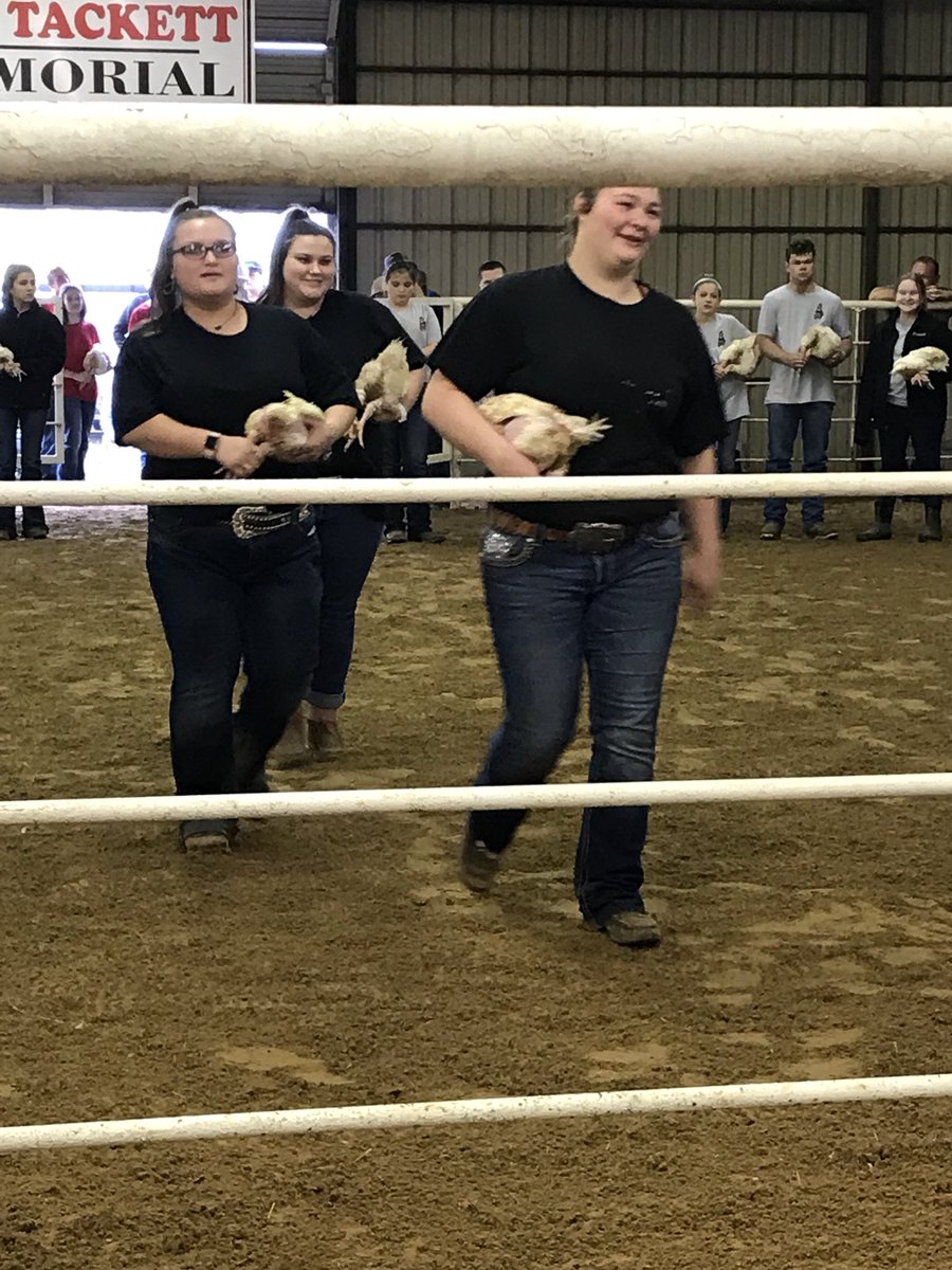 hempelscience's tweet photo. Look at all of those chickens! Congrats Olivia on 4th place market broilers!! #KCJLS18 #NorthForneyFFA https://t.co/R2omyB01VI