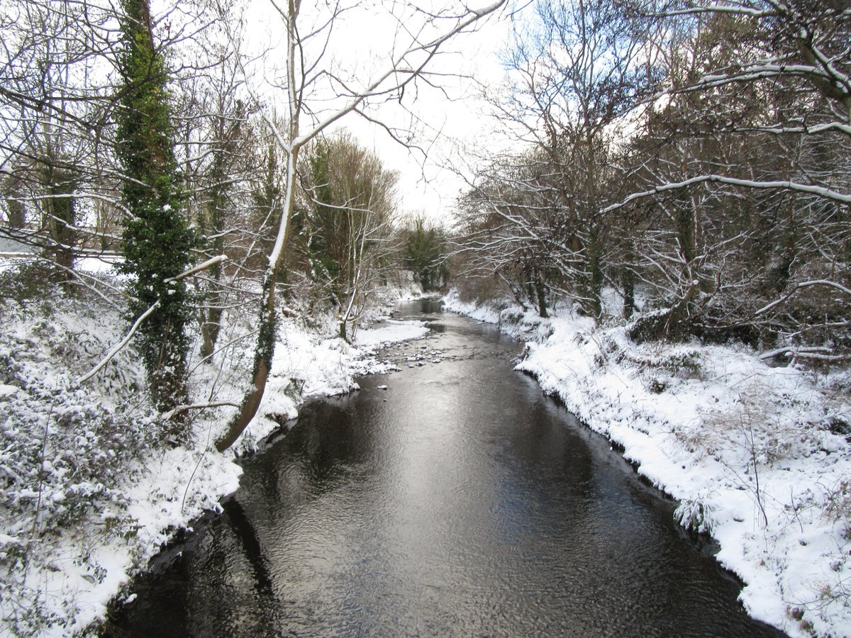 bryanwhe's tweet image. Fairly cold out there, but #Dublin is wearing it well #sneachta