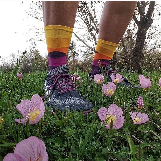 Switchback_CC's tweet image. Suck it up Buttercup
... ...
📸: #switchbackhunter @llebanna74
... ...
#switchbackcc | #switchbackhunting ift.tt/2CReeuo