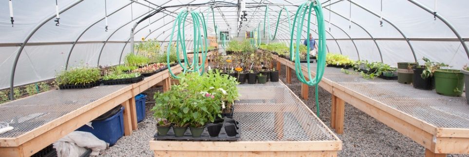 trishofthetrade's tweet photo. .@ReVisionFarm needs #volunteers for a #permaculture project at their #urbanfarm. This is an especially great opportunity for groups (maybe your team / company?) >>> https://t.co/eq53o3DuUC I'm signed up. Cya there? #Boston https://t.co/Gkd016UJud