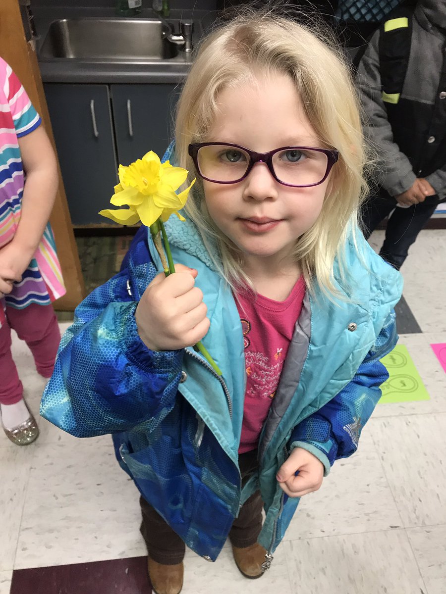 MeganVarner8's tweet photo. I mentioned yesterday that my daffodils were my favorite flower and look what showed up this rainy morning!!! Pure sweetness! #iamcucps https://t.co/NIEyXzKi6R