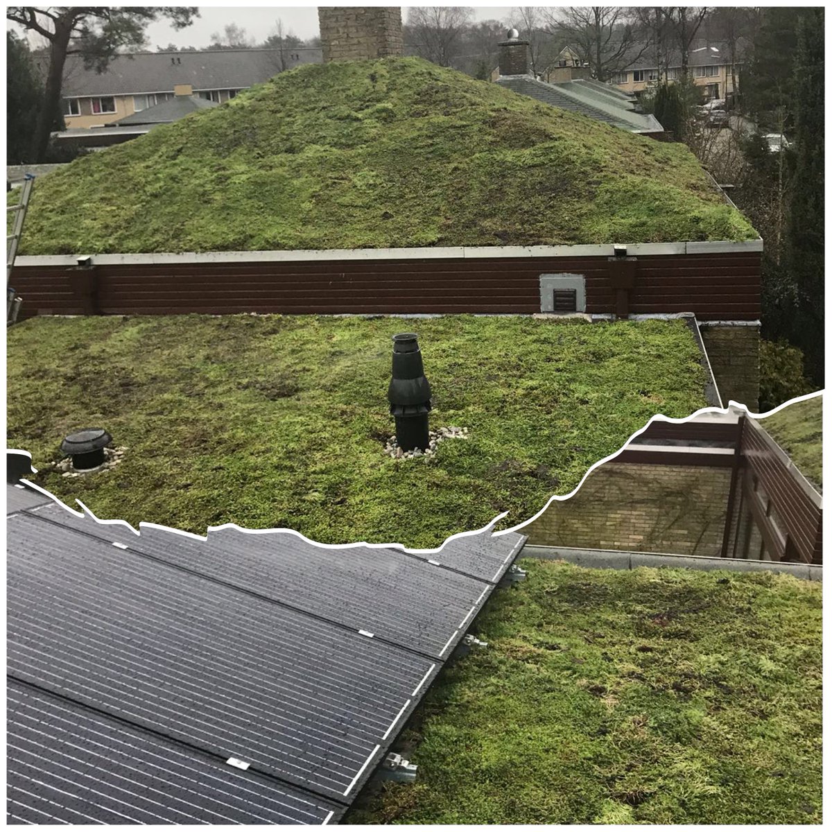 Groendak's tweet photo. Morgen vrijdag 2 maart -en zaterdag- is het weer zover: inloopdag. Een OPEN DAK, maar onder dat dak zitten we warmer en vertellen we u graag méér ... Kom ook! https://t.co/gK0Y8Lofvx