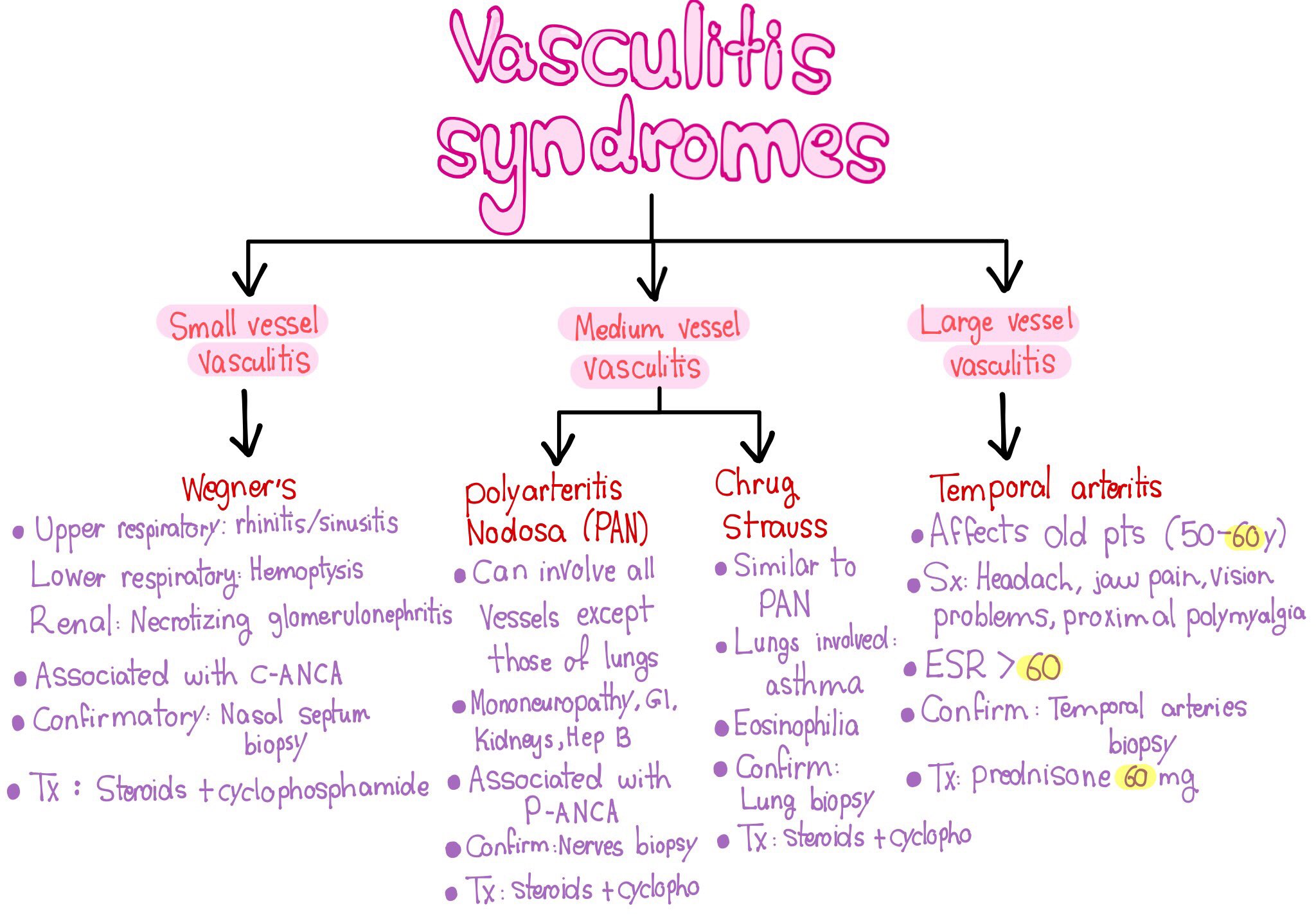 Reumatologia vasculitis