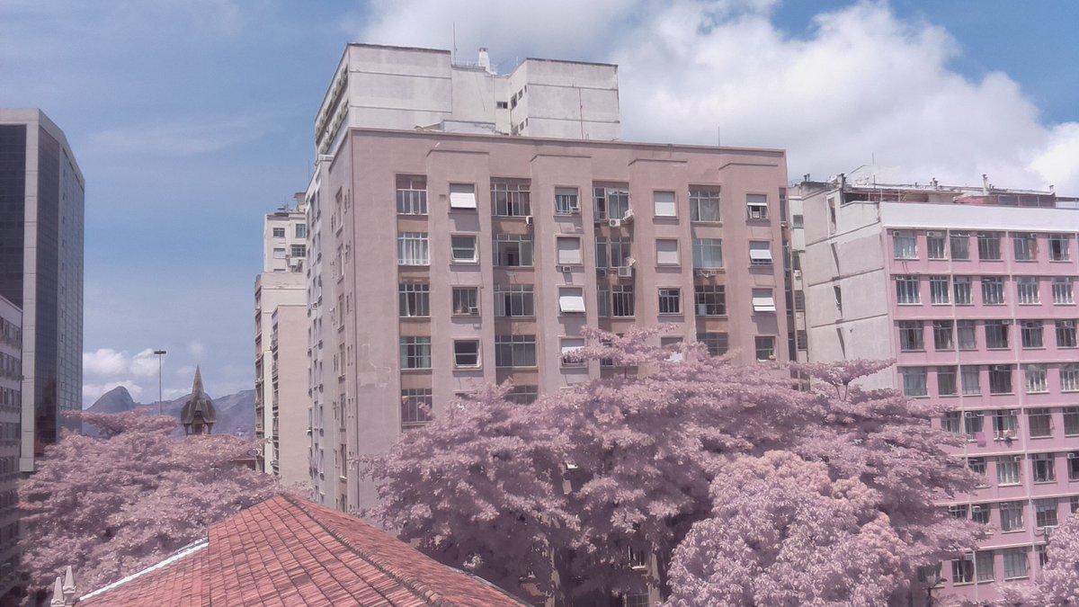 [2018-03-01 12:54] Espelho Sonoro transmitindo ao vivo! Confira em espelhosonoro.com