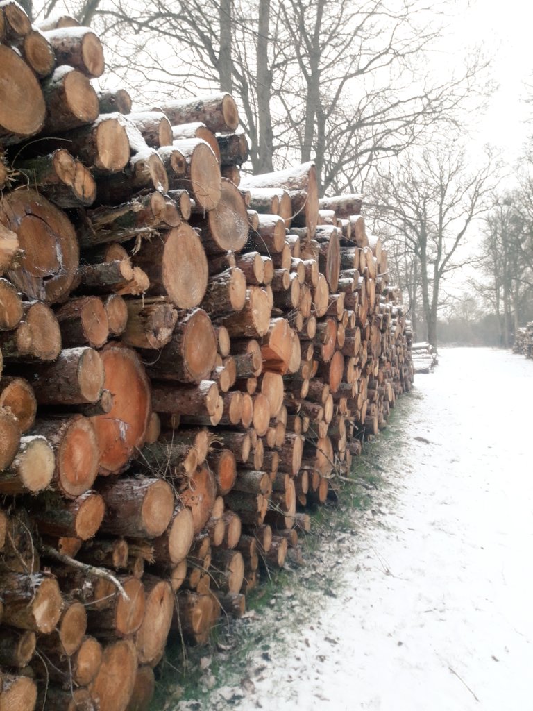 MCC_NT's tweet photo. The #BeastFromTheEast has been very busy @MCC_NT. If you venture out enjoy the #snow, stay safe and #wrapupwarm. #Snowmageddon https://t.co/LsLc2qktOm