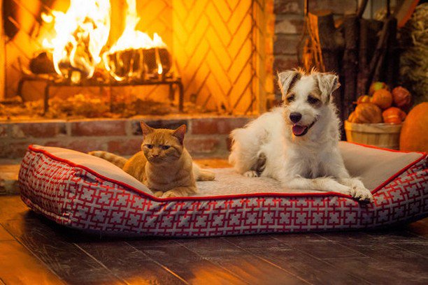 International Hotel tweet media