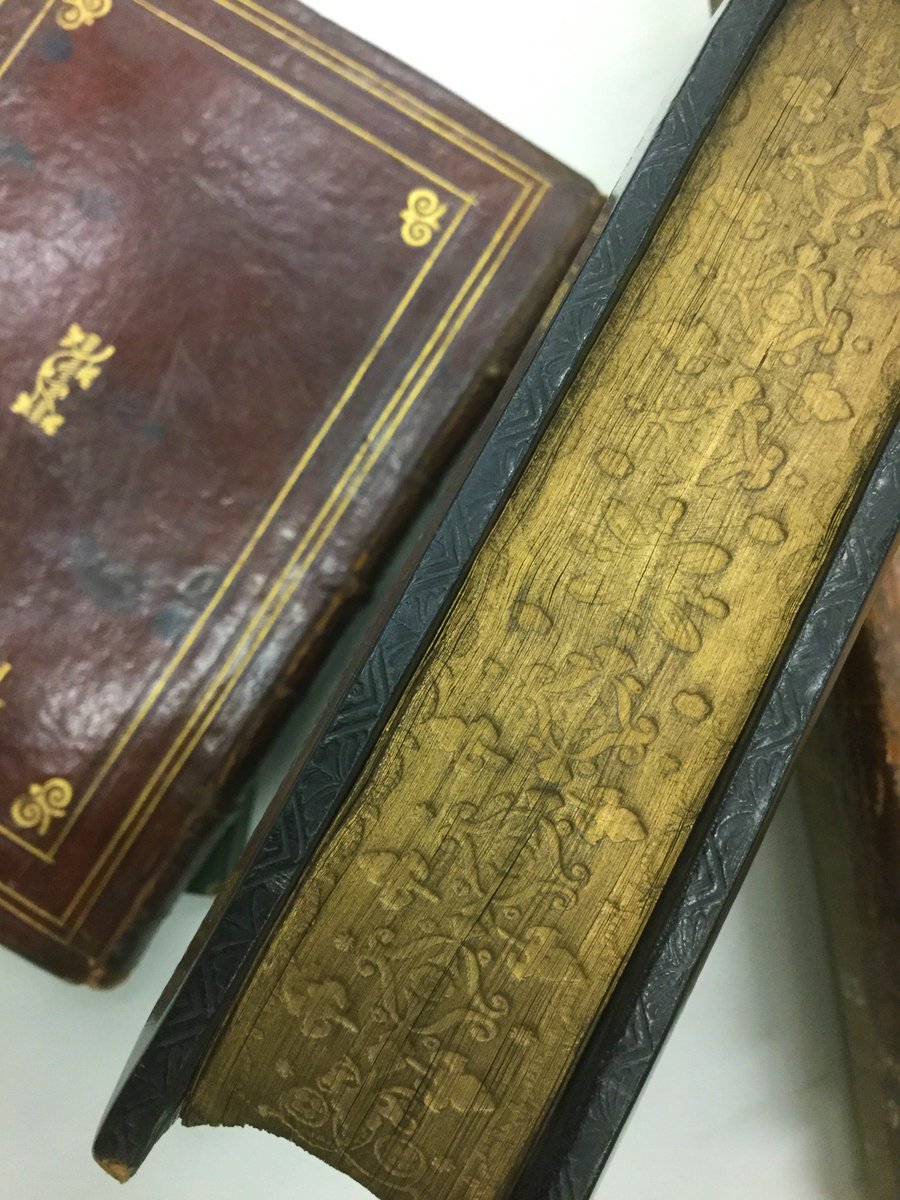 GuildhallLib's tweet photo. #WordBookDay #WeirdandWonderful #Doodle #Foreedges https://t.co/qKNHu8A9C4