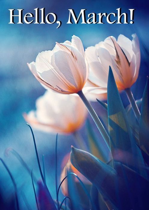Welcome March! Are you ready for Spring?