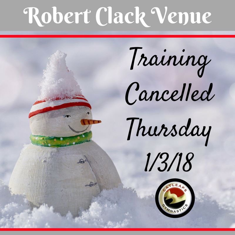 CatleapsGC tweet media