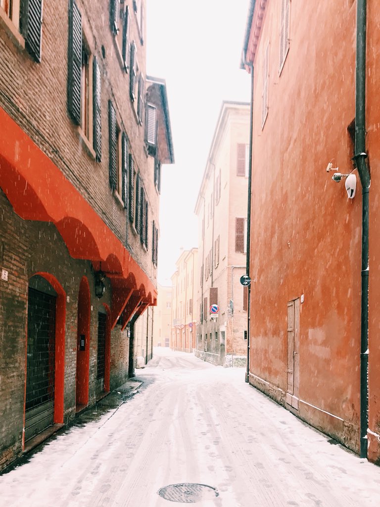 mymodenadiary's tweet photo. E la neve ha fatto il suo incantesimo ❄️💙 #modena #mymodenadiary #inemiliaromagna https://t.co/Ds3pN0mglO