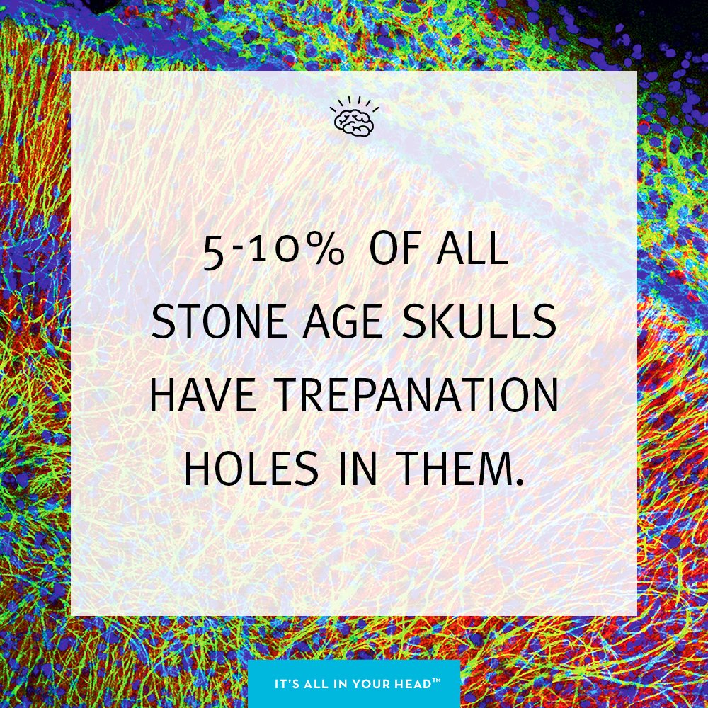 It's All In Your Head tweet media