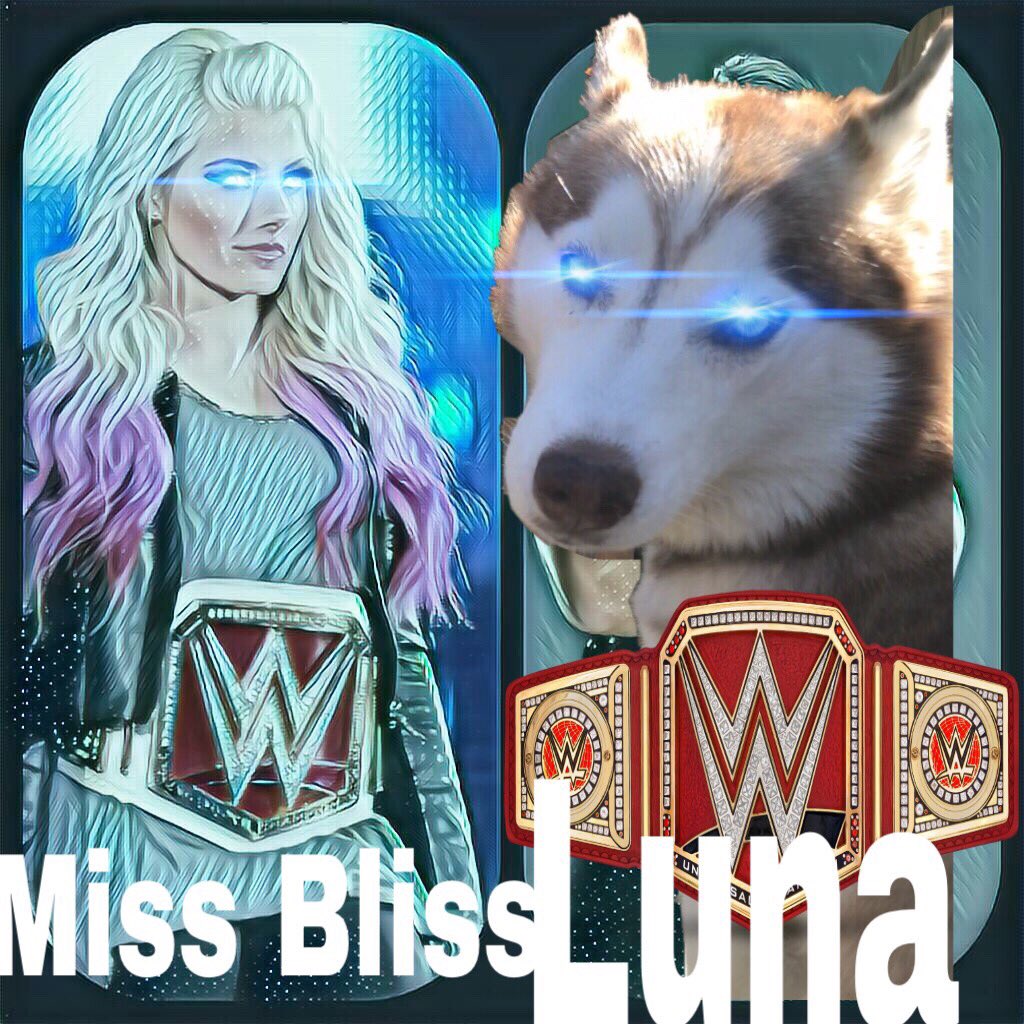 LunaSheetzhusky's tweet photo. Luna loves Miss Bliss @RandyOrton @ChrisJerichoWeb https://t.co/XH1TdtGF5b