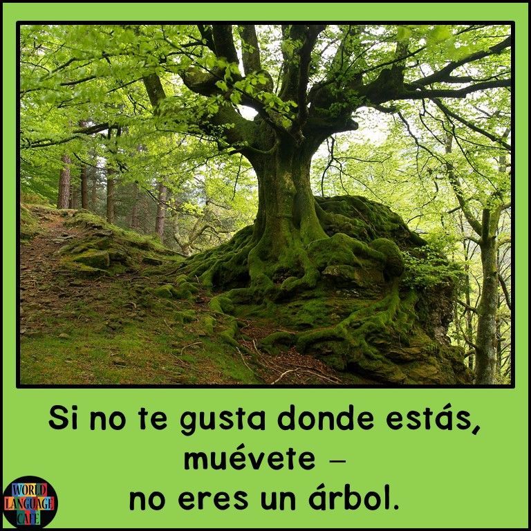 More printable signs bit.ly/SpPosters #spanishteachers #flteach #langchat #spanishclass #langchat #iteachspanish