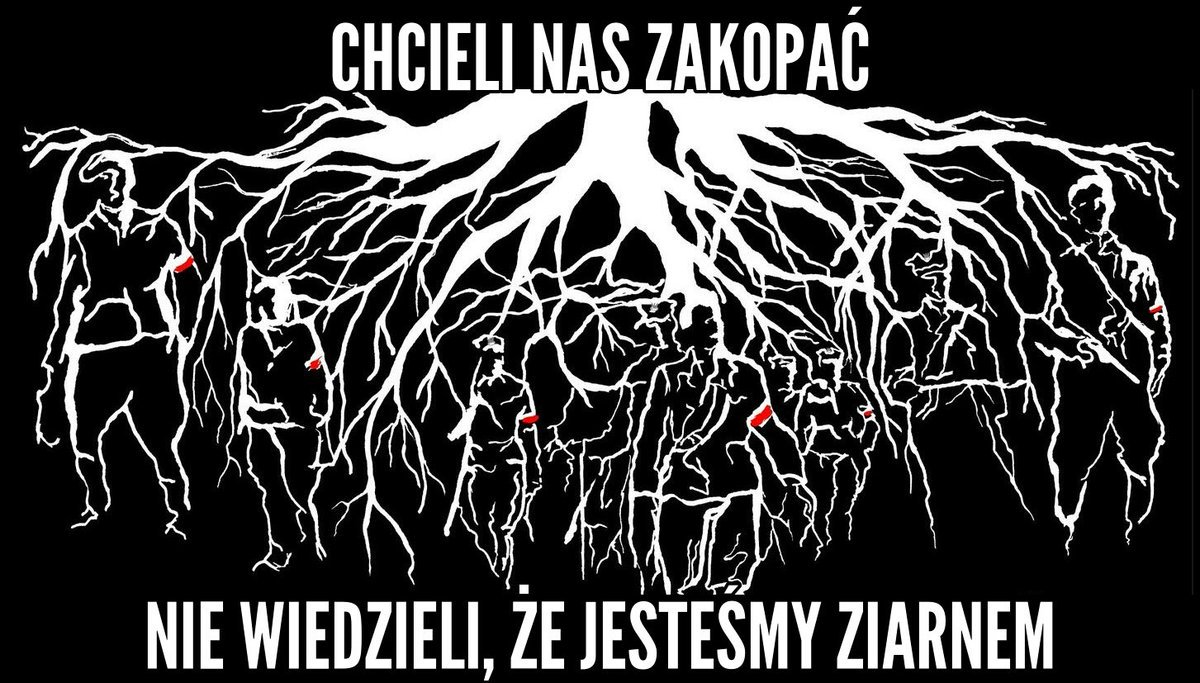 Michał Adamczyk a Twitter: ""Chcieli nas zakopać, nie wiedzieli, ze jesteśmy  ziarnem". Wymowne i prawdziwe słowa. Dziś pamięć o Żołnierzach Wyklętych  rozkwita, oddajmy im należny hołd. Więcej o 19:30 w @WiadomosciTVP.  #ZolnierzeWykleci #