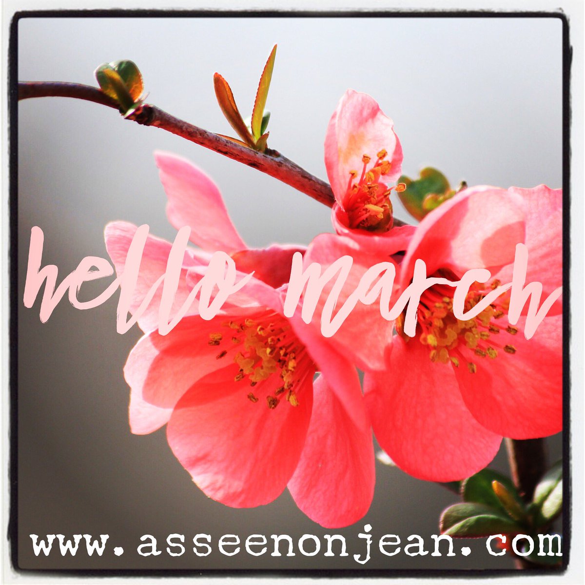 asseenonjean's tweet photo. Can you believe itβs March? Time flies!
I recently shared my February faves over on the blog! What did you love last month?
https://t.co/oFmmWoM0Az π
#HelloMarch #pinchpunch #newblogpost #monthlyfavourites #februaryfaves https://t.co/v0zd9frdIy