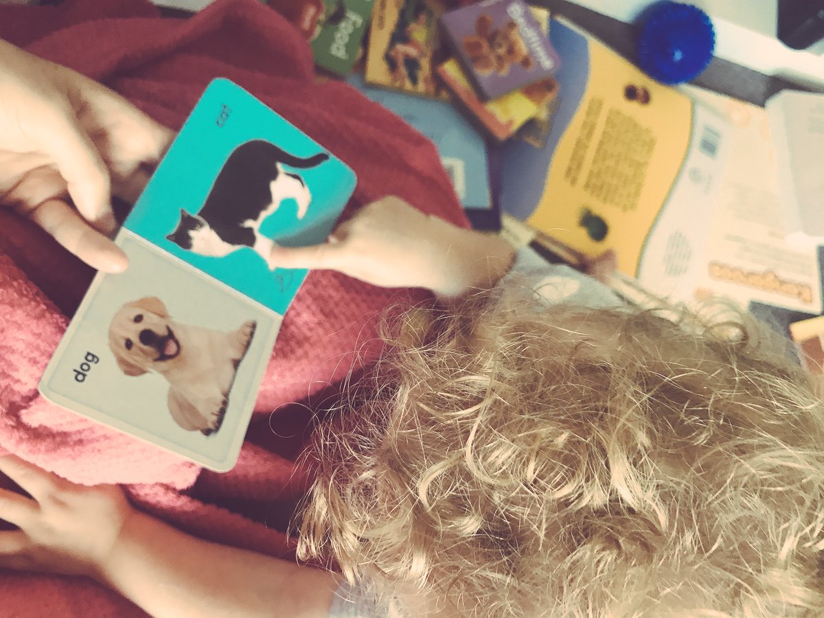 jaimicasey's tweet photo. Nothing makes me more excited as a teacher and mum than seeing my 11 month old pull out all her books, flick through the pages of each one and point to the pictures! 💓 https://t.co/Ynyx27le4B
