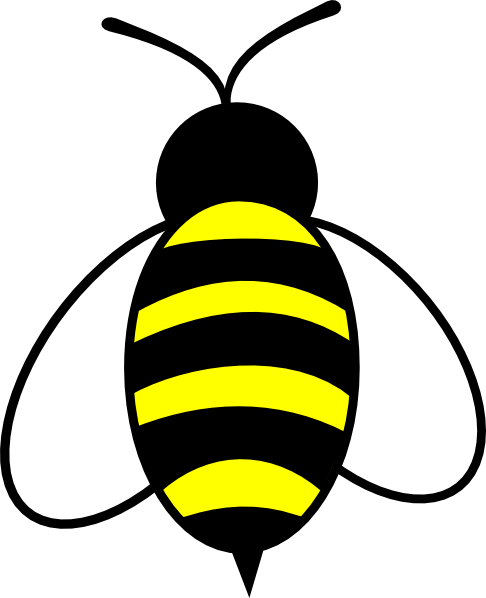 UNGHonors's tweet photo. Next Tuesday March 6th is the 6th annual Spelling Bee. It will be at 7pm in Hoag Auditorium. Admission is free, but donations are welcome. All the proceeds benefit the Lumpkin County Literacy Coalition. We would love for members of the college and larger community to come! https://t.co/DMHFLXnscN