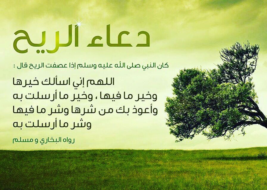 ZEROUALL's tweet photo. عن عائشةَ رَضِيَ اللّه عنْهَا قَالَت : كَانَ النَّبِيُّ صَلّى اللهُ عَلَيْهِ وسَلَّم إِذا عَصِفَتِ الرِّيح قال : «اللَّهُمَّ إِني أَسْأَلُك خَيْرَهَا،وخَيْرِ مَا فِيها وخَيْرماأُرسِلَت بِه، وَأَعُوذ بك مِنْ شَرِّهِا وَشَرِّ ما فِيها، وَشَرِّ ما أُرسِلَت بِهِ» رواه_مسلم https://t.co/XAW30nDTrh