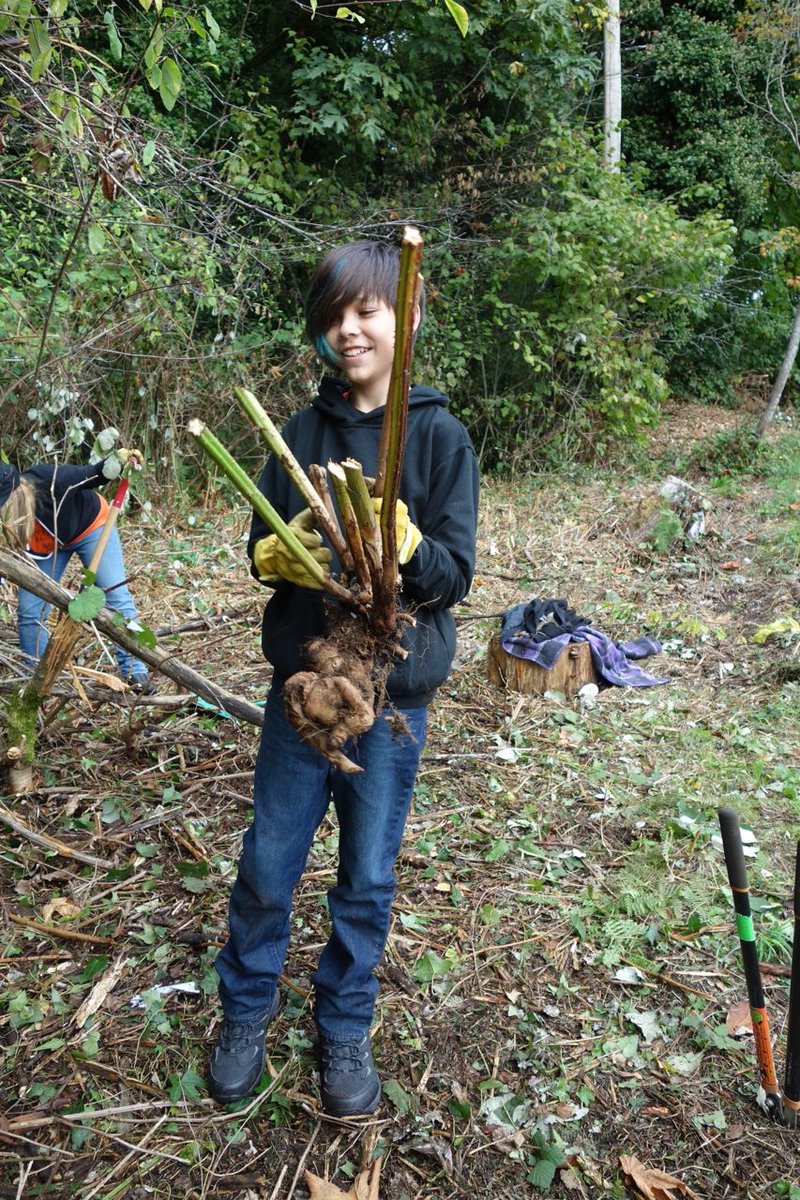 LMGreenTeam's tweet photo. Volunteer to remove blackberry (it kills native plants) Fort to Fort trail March 25, sign-up: https://t.co/Ob4ZepyyIP  @LangleySchools @LangleyTimes @LangleyAdvance @LangleyTownship @CityofLangley @LangleyChamber @MyNorthLangley @lelemCafe @BelmontGC @TrinityWestern @LEPS_Langley https://t.co/q4REAmWIpX