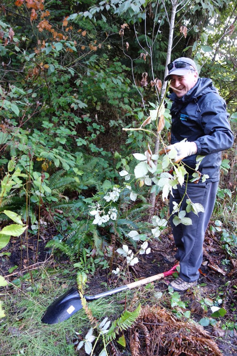 LMGreenTeam's tweet photo. Volunteer to remove blackberry (it kills native plants) Fort to Fort trail March 25, sign-up: https://t.co/Ob4ZepyyIP  @LangleySchools @LangleyTimes @LangleyAdvance @LangleyTownship @CityofLangley @LangleyChamber @MyNorthLangley @lelemCafe @BelmontGC @TrinityWestern @LEPS_Langley https://t.co/q4REAmWIpX