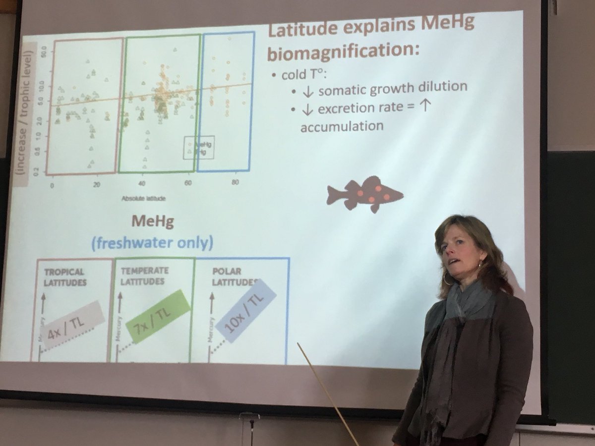 BorgaK's tweet photo. Temperature or food web structure?
 Interesting seminar on #mercury in food webs by @KarenKidd12 to end a great visit this past week. Thanks and welcome back! @biovitenskap @UiO_LifeSci #AnthroTox #aqua #biogeochemistry https://t.co/1Auc7N3EYP