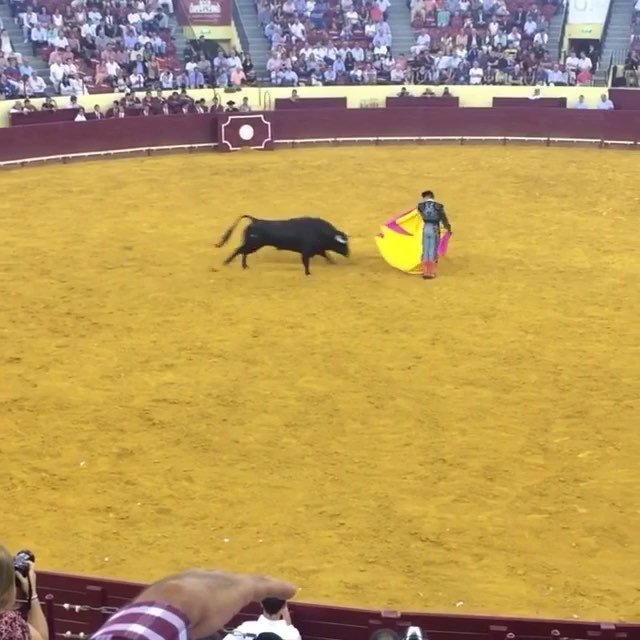 Touradas_'s tweet photo. Que grande quite de @jmmanzanares no @campopequeno 👌🤘
.
.
Vídeo @gemeasbatista
#touradas #matador #iglx #portugal #p3top #tourada #forcados #tauromaquia #rejoneo #ribatejo #igers #lisboa #lisboa_pt #lisboalive #lisbonlovers #rejoneo #toureio #tourei… https://t.co/wUCsHehBil https://t.co/AbrkIZocHS