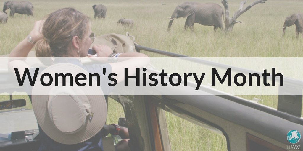 ifawglobal's tweet image. March is #WomensHistoryMonth! Thank you to icons like @JaneGoodallInst and @SylviaEarle who paved the path for women scientists in the field of wildlife conservation. Your perseverance and expertise have opened doors for thousands of women around the world.