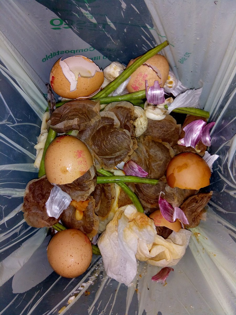 KayRsharp0's tweet image. 