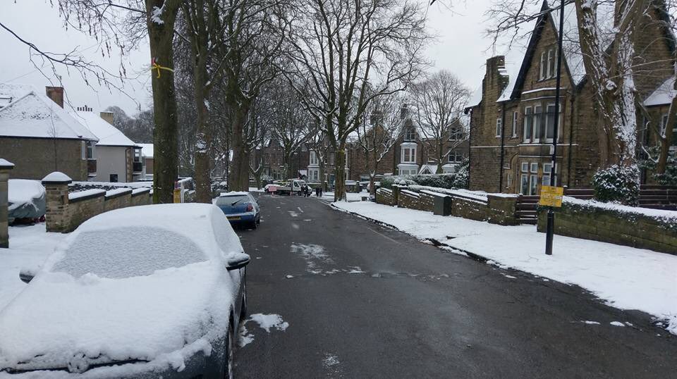 Graham21's tweet photo. Why cleared roads are bad news in #Sheffield by @JennySaul1 . #SaveSheffTrees #BeastFromTheEast https://t.co/5VyEosRU1r https://t.co/VDKenrxrf4