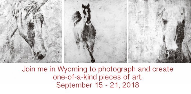 open2interp's tweet image. Beautiful #Wyoming. Join me for a #photoencaustic #equinephotography workshop September 15 - 21, 2018. ed.gr/h8v9