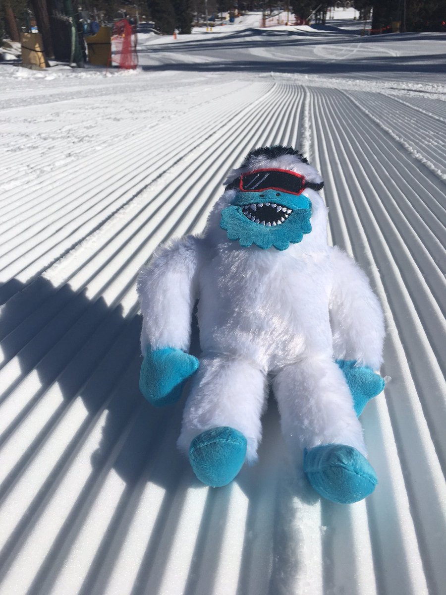 mthigh's tweet photo. On the mountain? First one to the Yeti gets him! #haveyouseenhim #yetifaces @mthigh https://t.co/FlfLbyrDKb