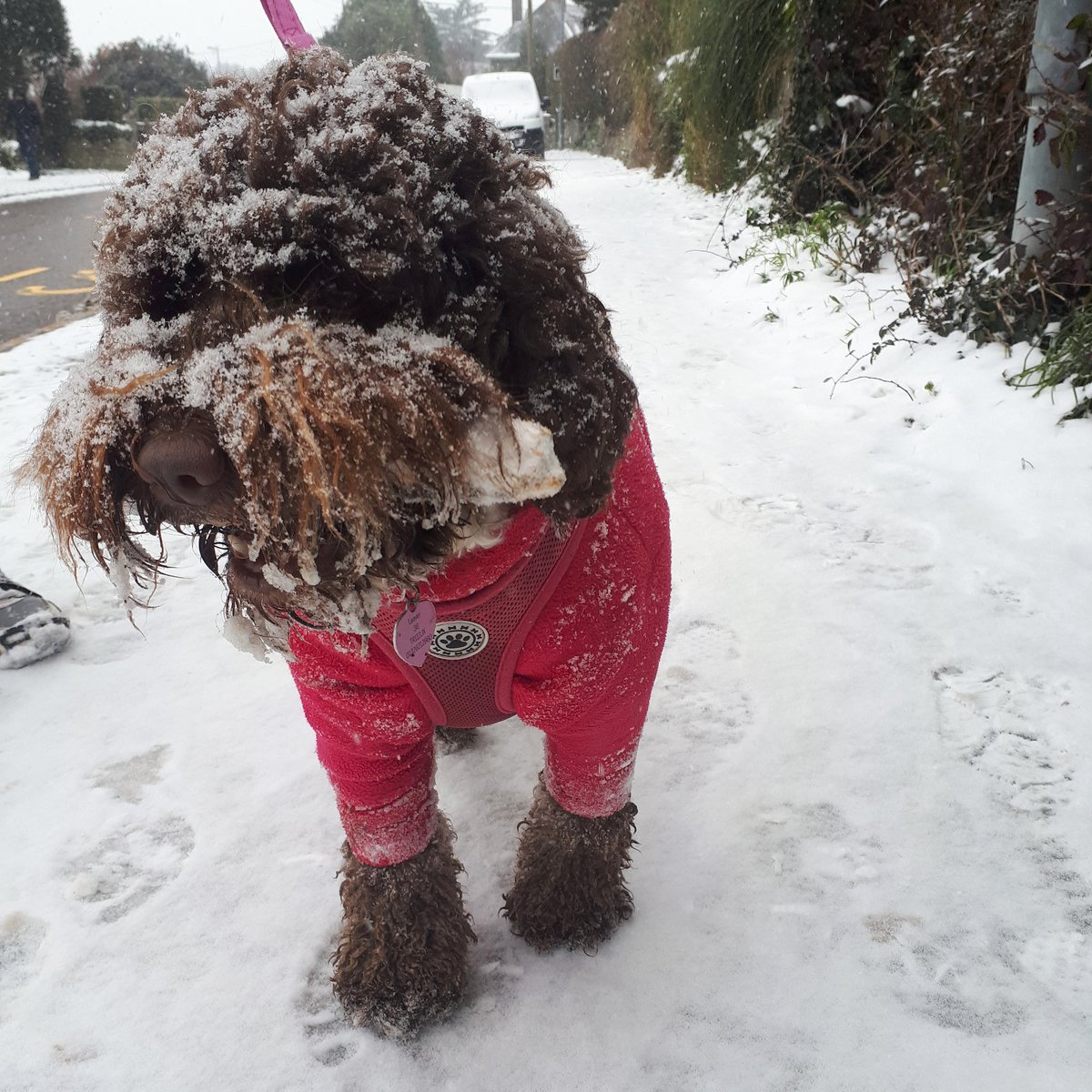 Jae_Leaver's tweet photo. ❄❄❄ https://t.co/HWGvJ2lKV9