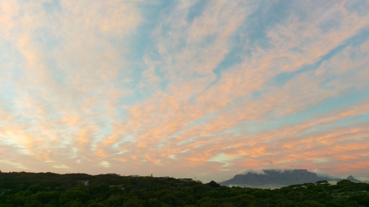 SunniestWay's tweet photo. Cape Town mornings #magical https://t.co/bxzNZWl5ZT