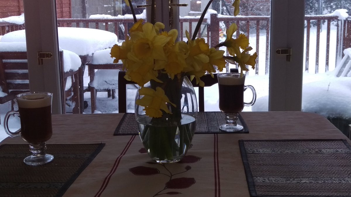 Colm_Tullamore's tweet photo. Waiting for #Emma #StormEmma &amp; #BeastFromTheEast 
#nothingElseToDo #Tullamore #offaly #Ireland save the daffodils
#beSafe #SeeYouSoon #pubShut #goodThursday #goodFriday ? https://t.co/fZnji68aFH