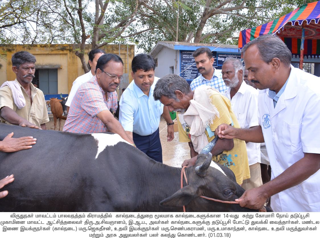 Collector Virudhunagar on Twitter: Collector Virudhunagar on Twitter: