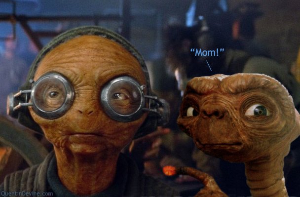    Happy Birthday Mom! 